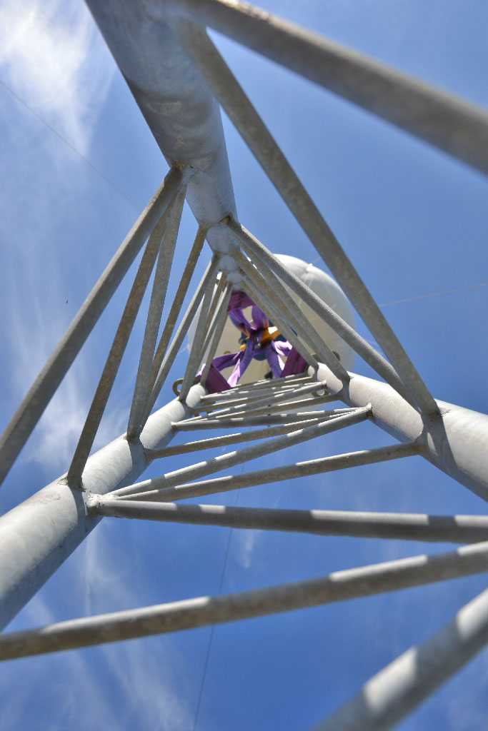 Mastsegment